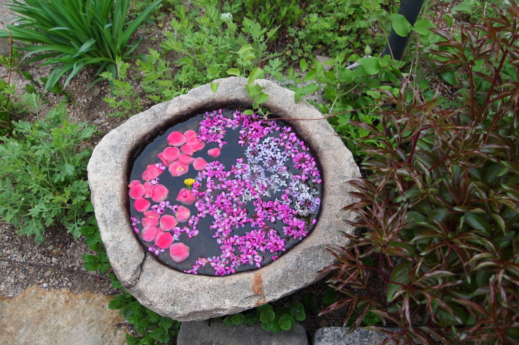 Floral Space Hanok Guesthouse Gyeongju Luaran gambar