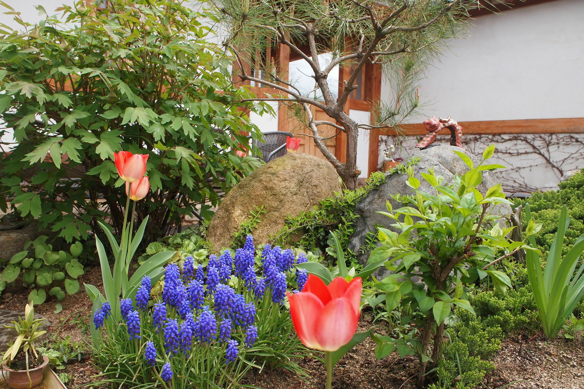 Floral Space Hanok Guesthouse Gyeongju Luaran gambar