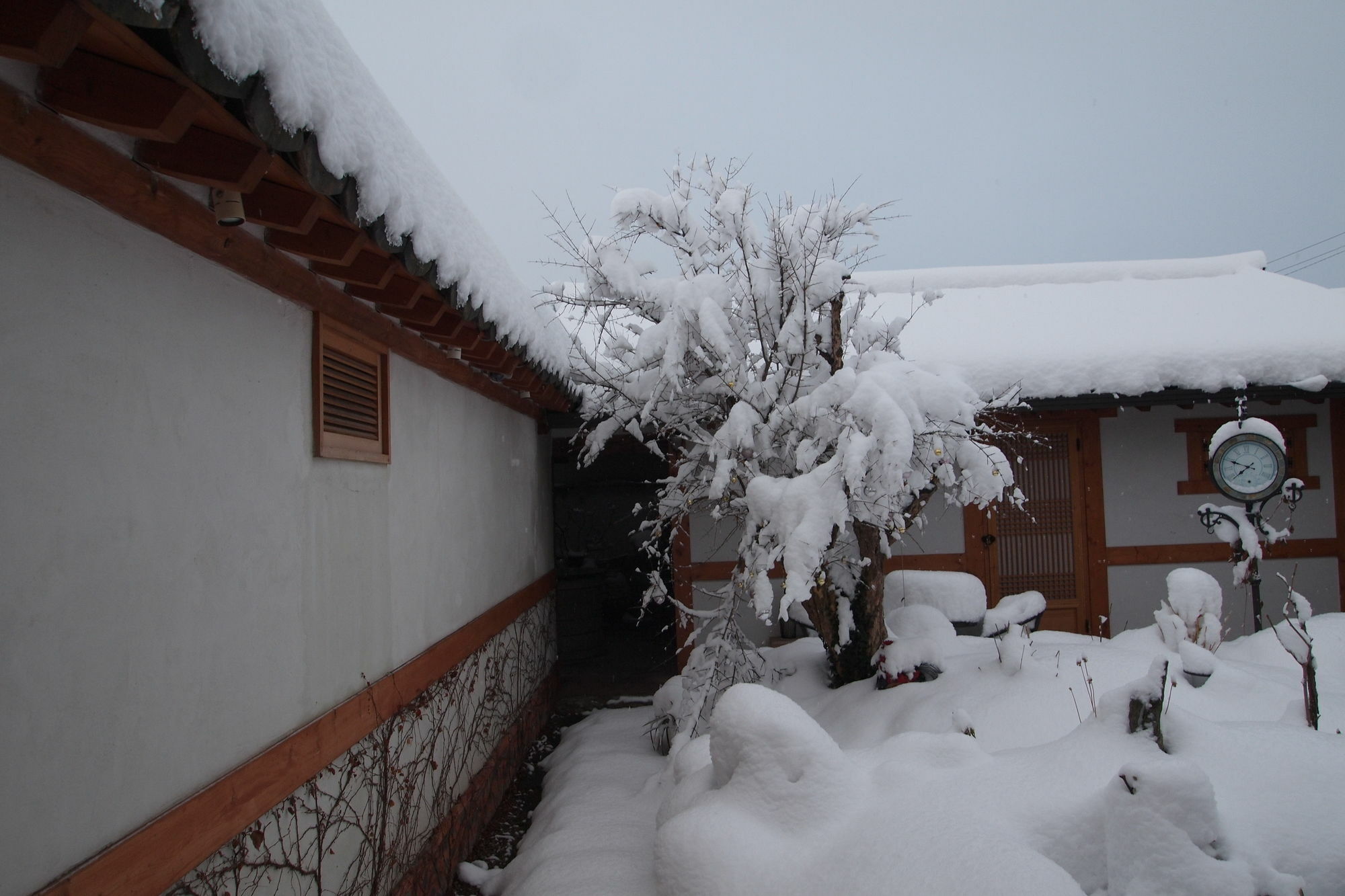 Floral Space Hanok Guesthouse Gyeongju Luaran gambar