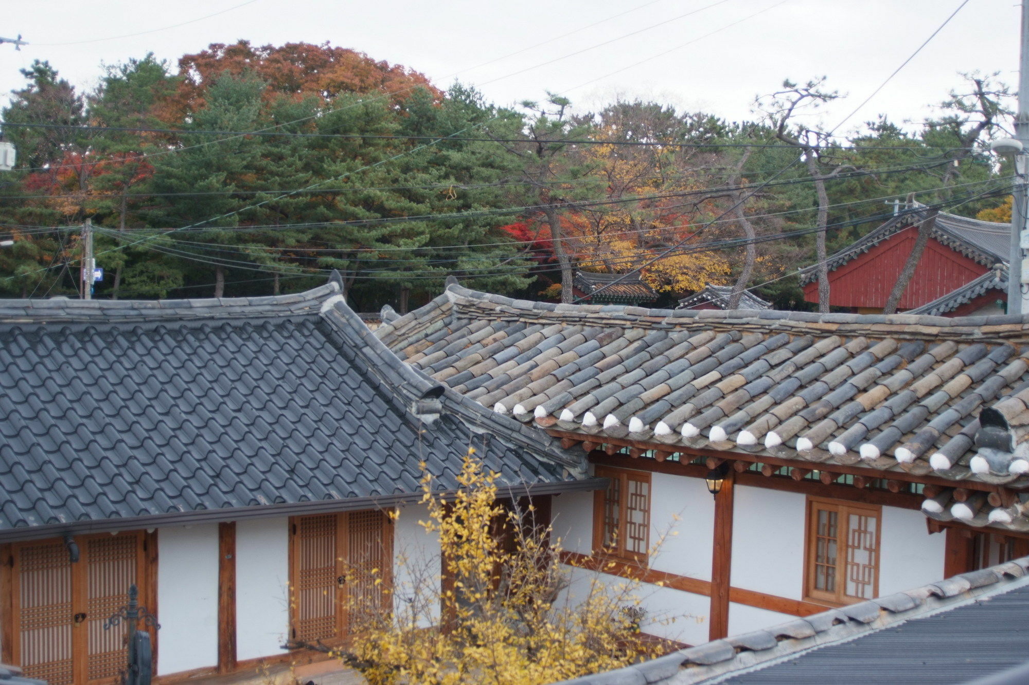 Floral Space Hanok Guesthouse Gyeongju Luaran gambar